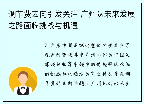 调节费去向引发关注 广州队未来发展之路面临挑战与机遇 调节费去向引发关注 广州队未来发展之路面临挑战与机遇